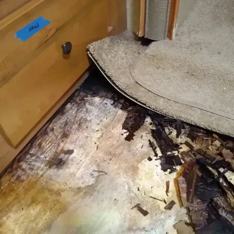 Best Wood Floor Water Damage Service in Vidor, TX